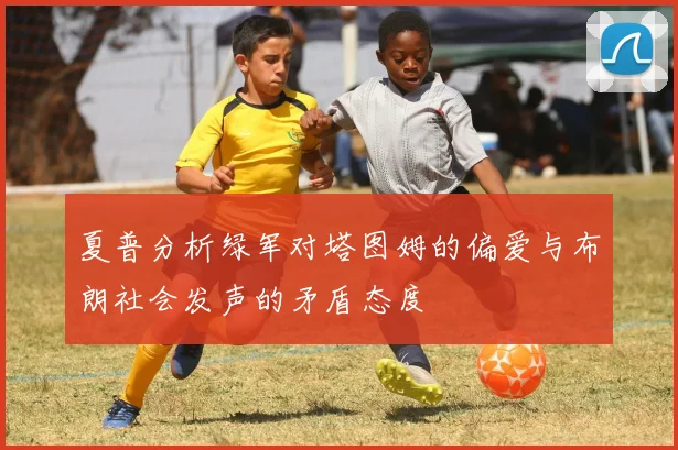 夏普分析绿军对塔图姆的偏爱与布朗社会发声的矛盾态度